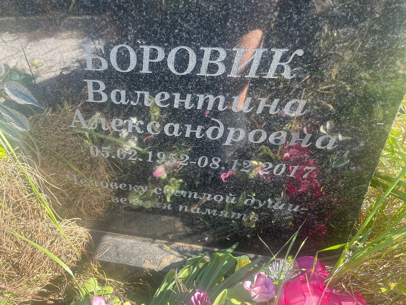 Боровик