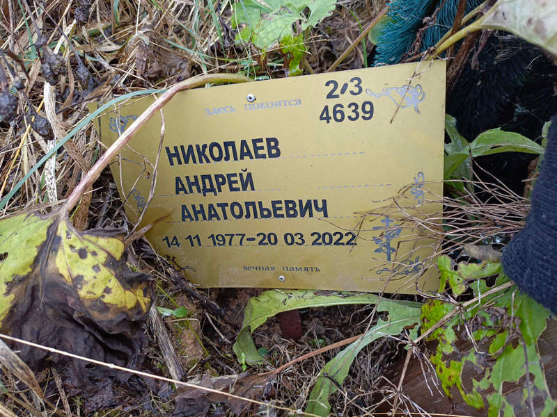 Николаев