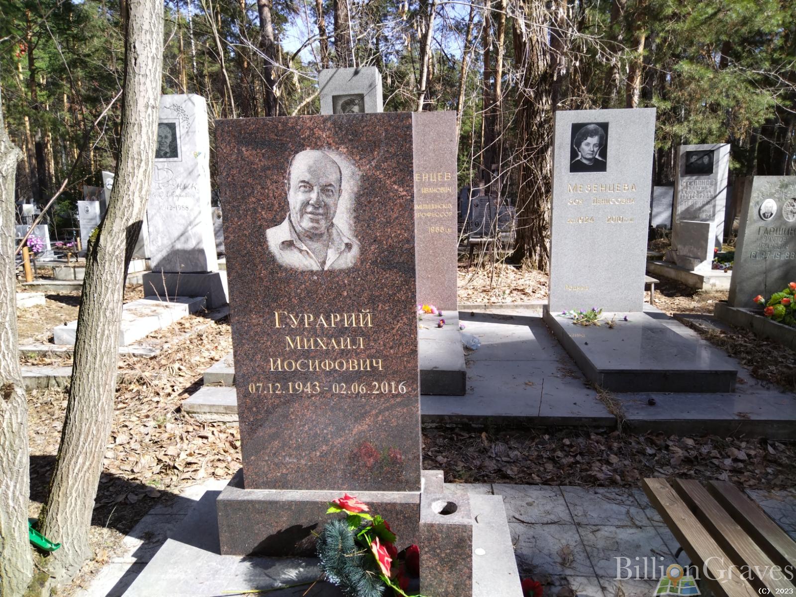 Гурарий Михаил Иосифович