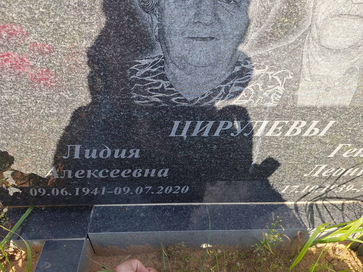 Цирулева