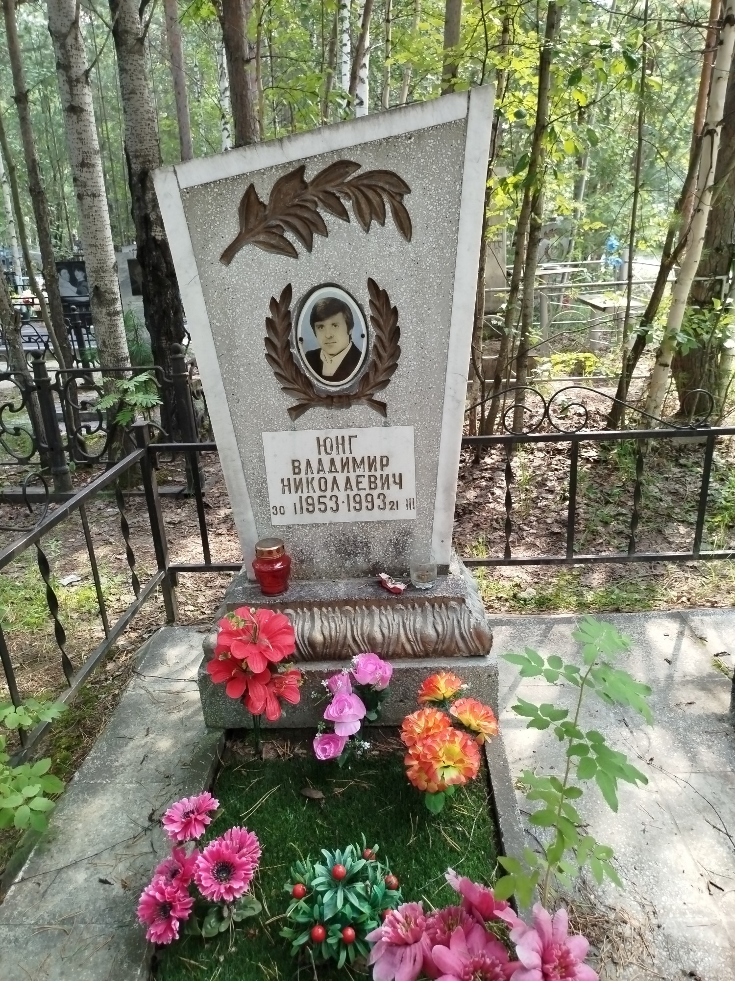 Юнг Владимир Николаевич