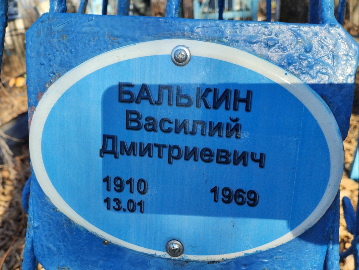Балькин Василий Дмитриевич