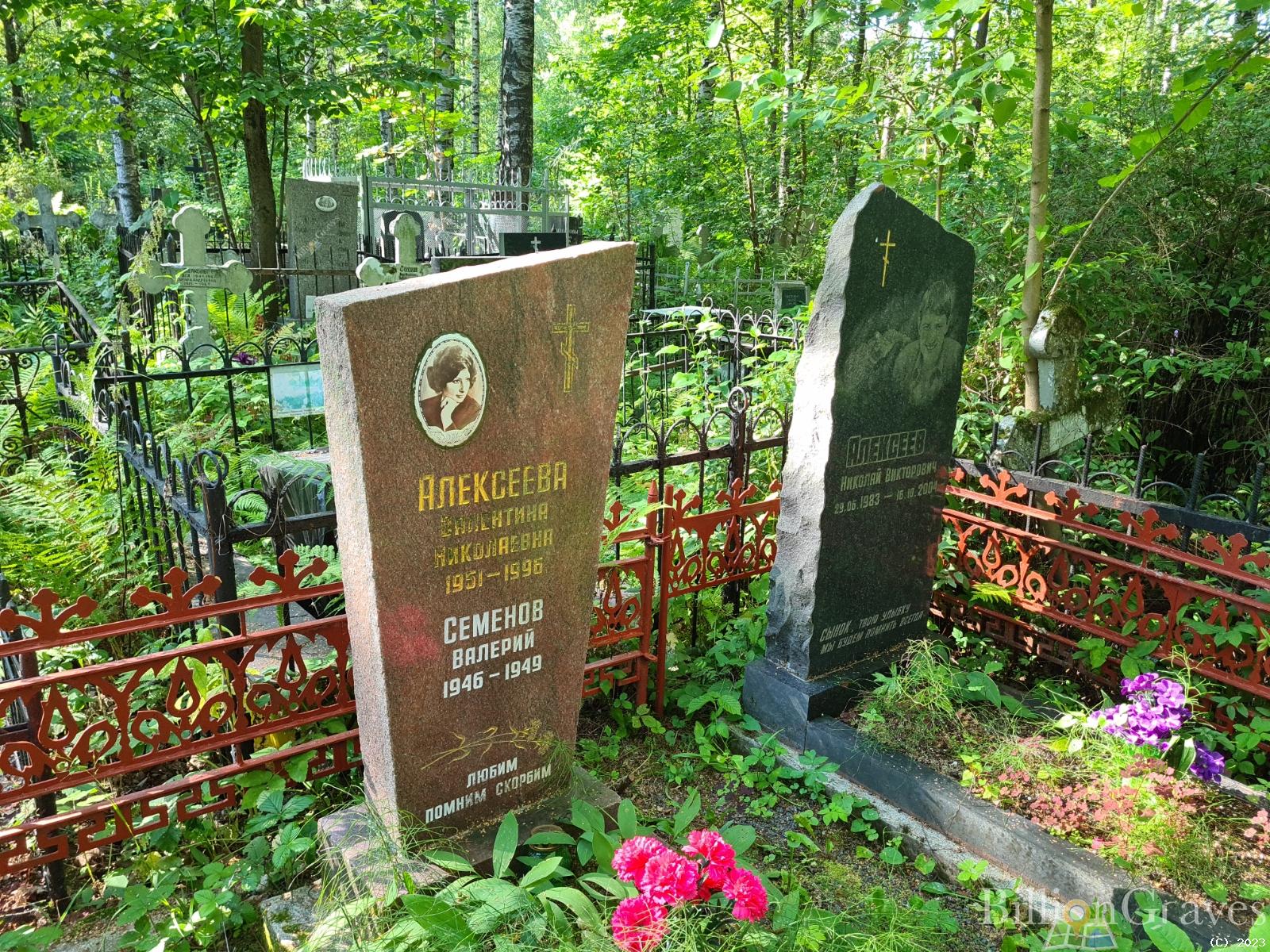 Алексеев Николай Викторович