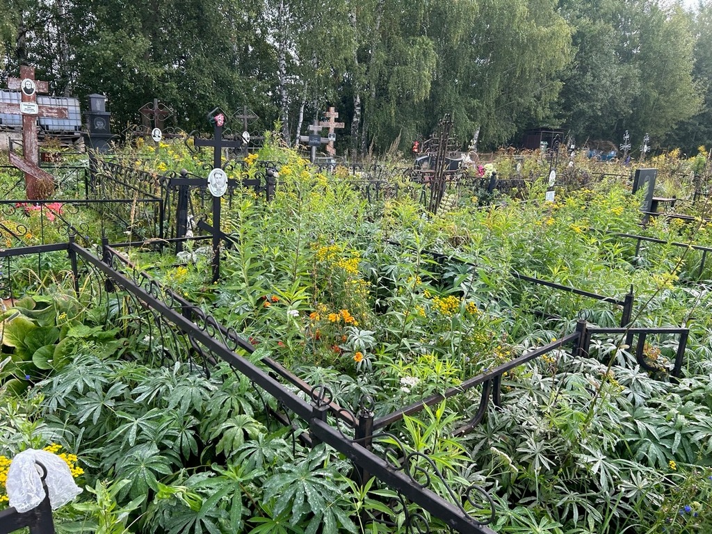 Орлов Николай Михайлович
