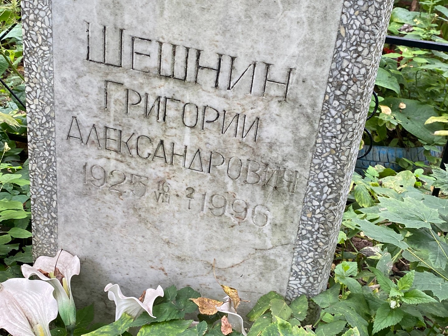 Шешнин