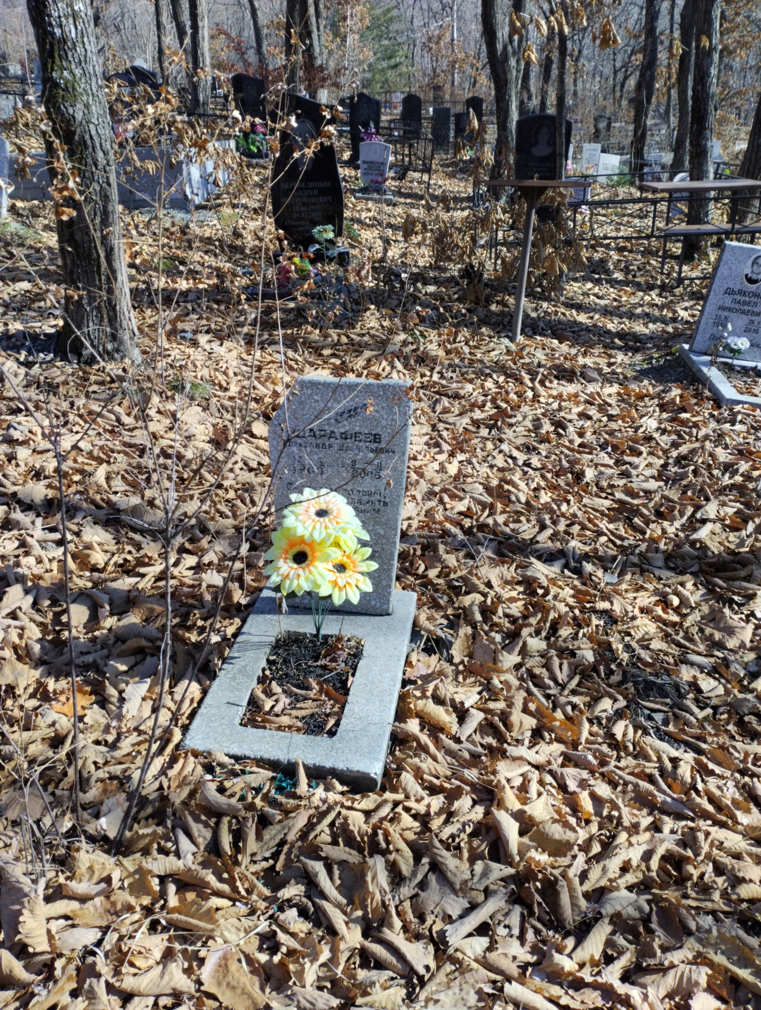 Шарафеев Александр Шамильевич