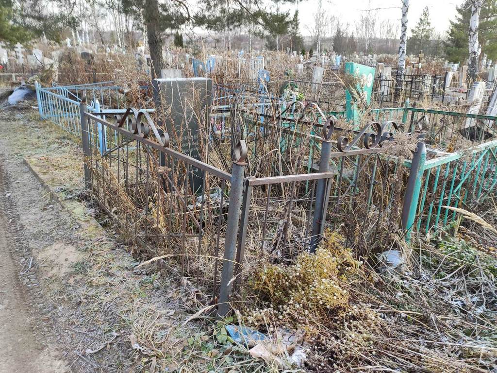 Софронов Адольф Викторович