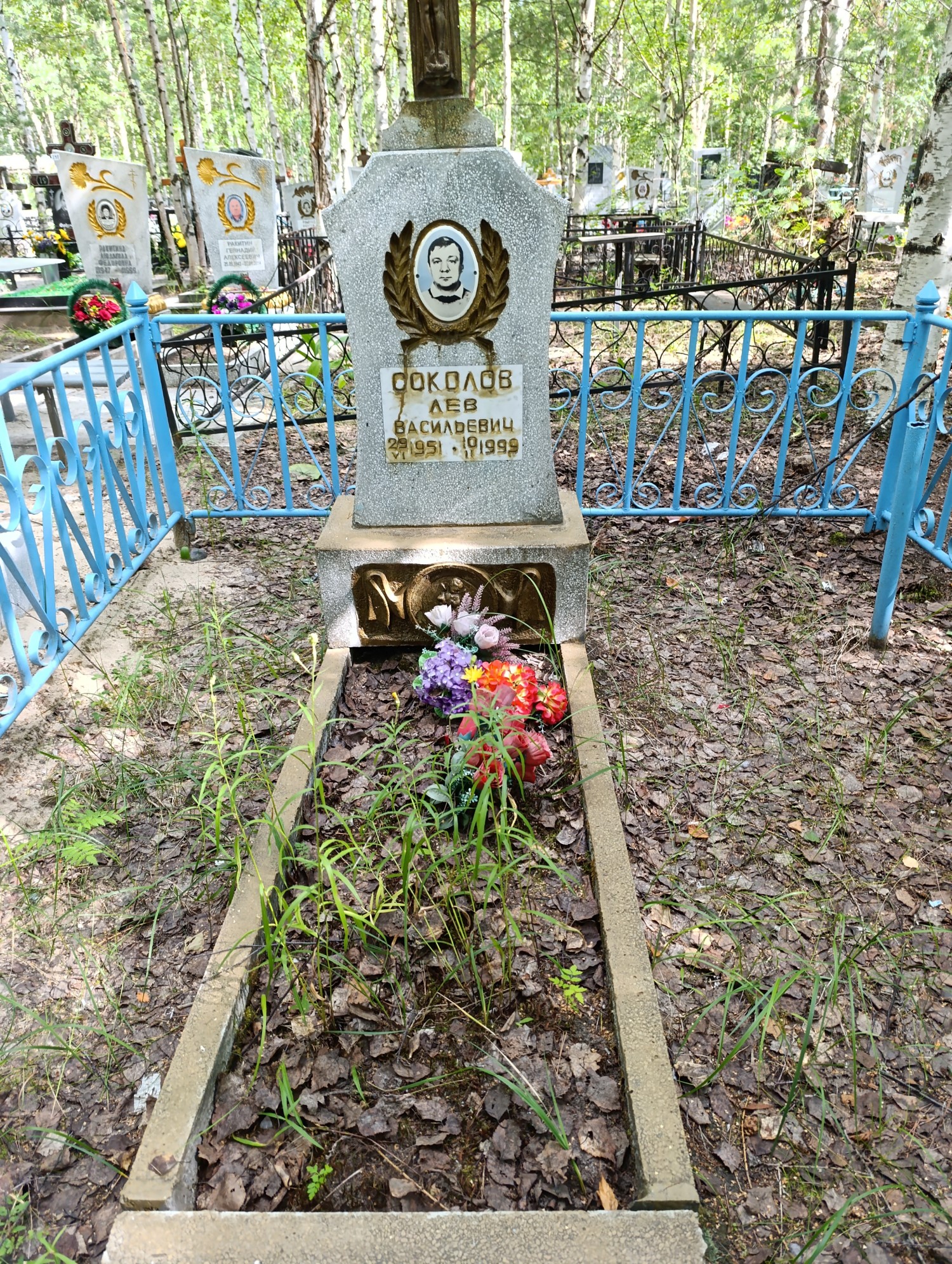 Соколов Лев Васильевич