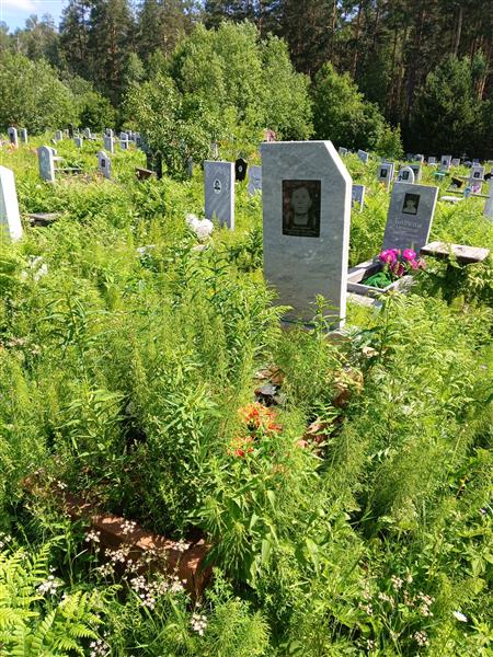 Долгушина Валентина Петровна