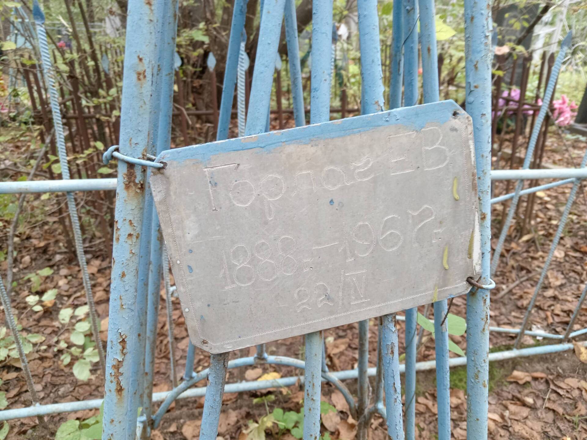 Горлач Е В