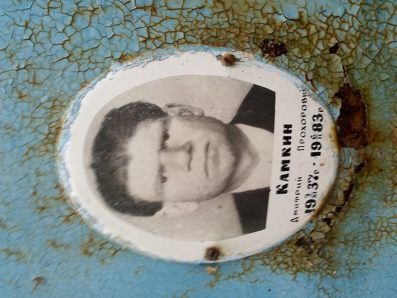 Камкин