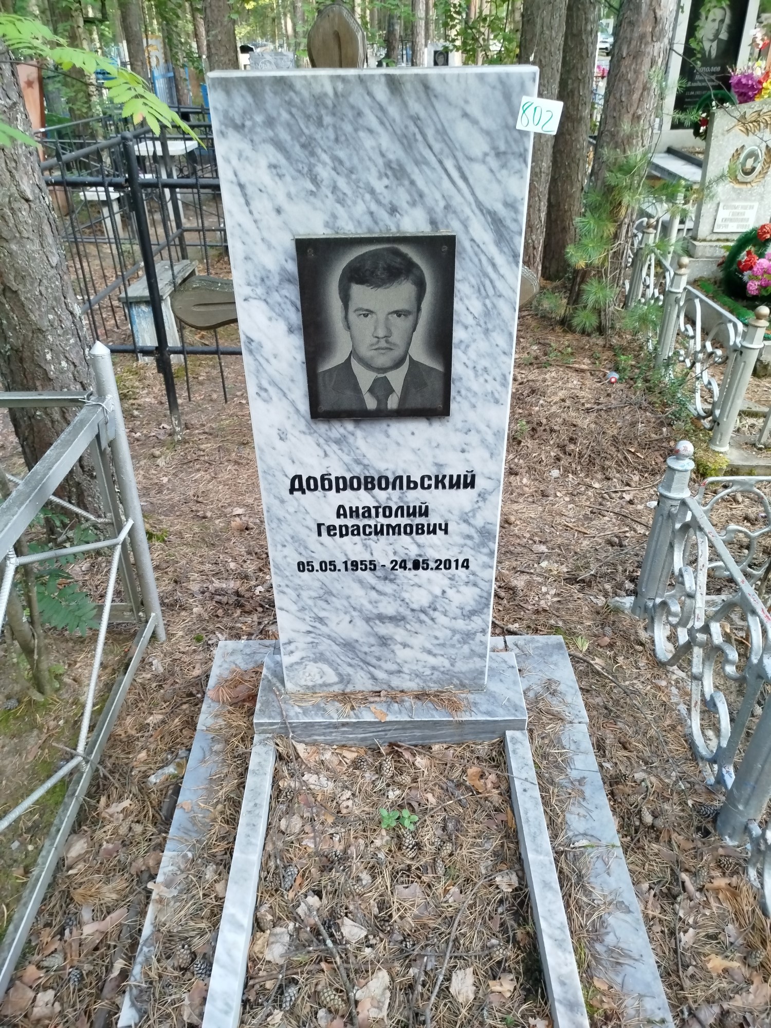Добровольский Анатолий Герасимович