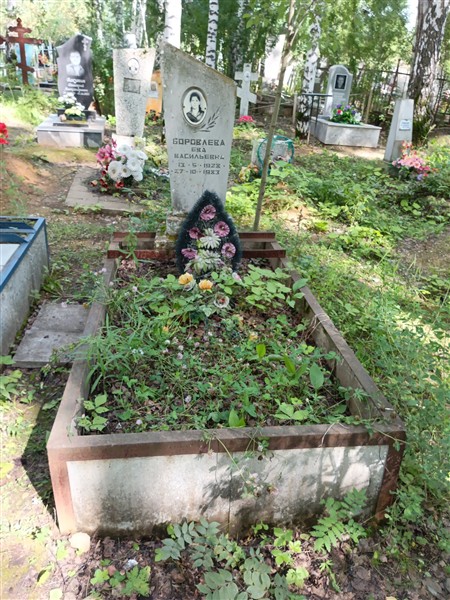 Боровлева Евгения Васильевна