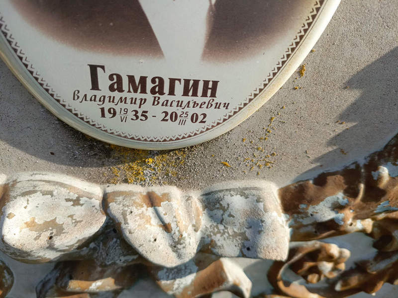 Гамагин