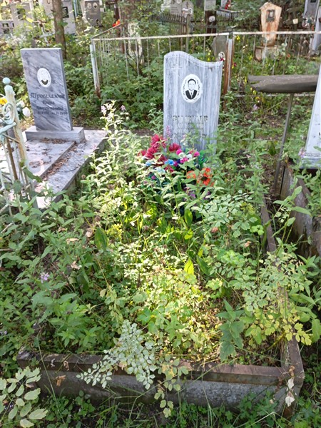 Замотаев Анатолий Павлович
