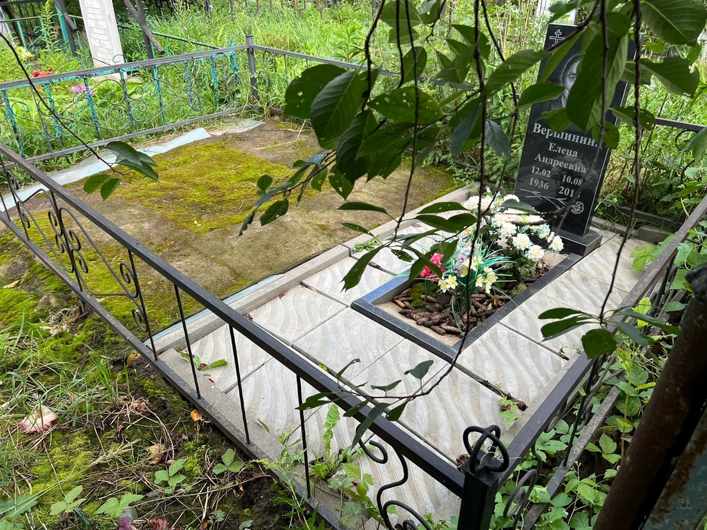 Вершинина Елена Андреевна