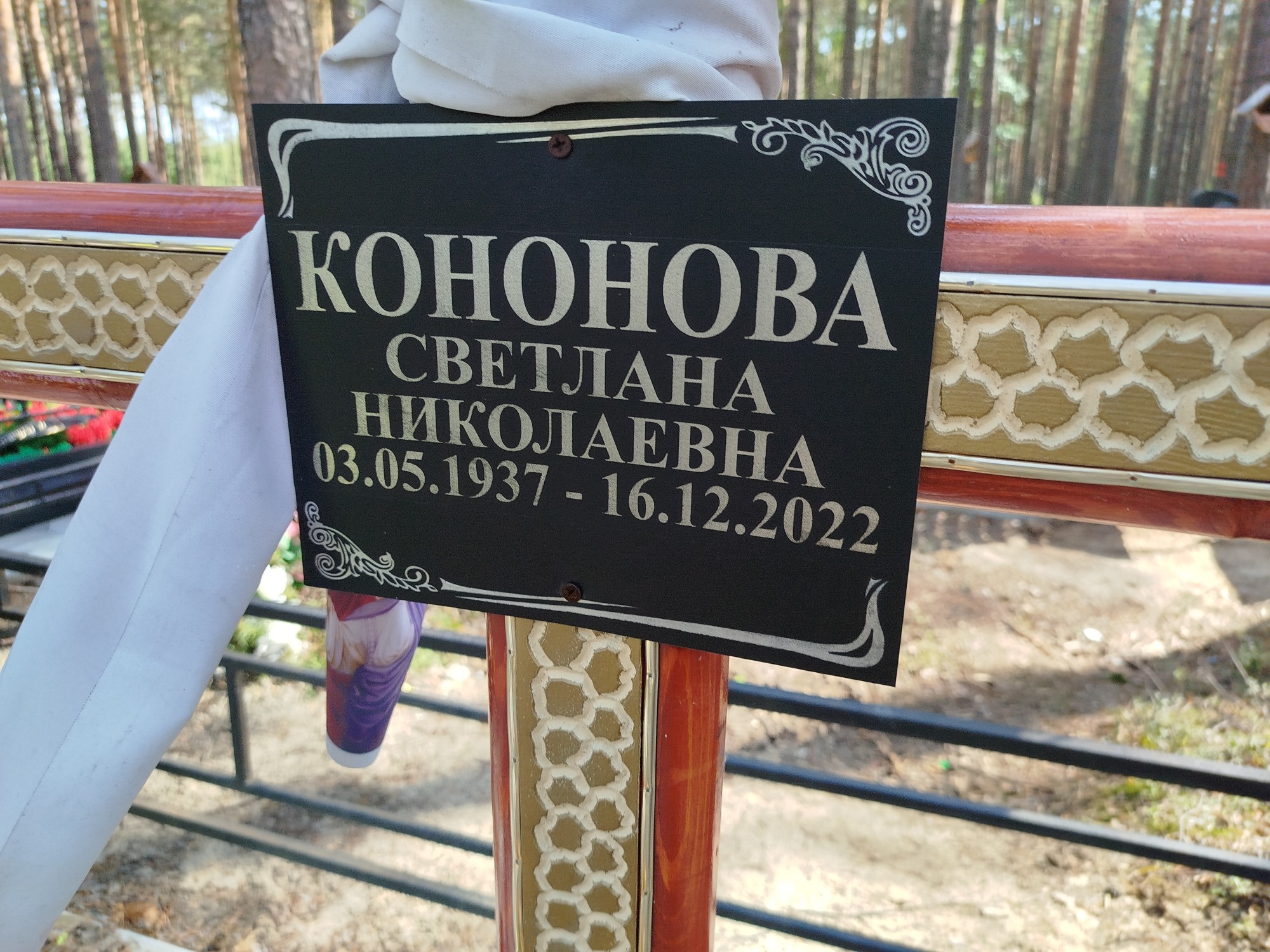 Кононова Стветлана Николаевна