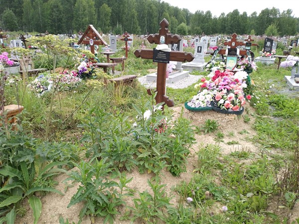 Мутт Геннадий Андреевич