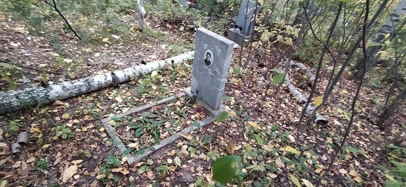 Садова Анна Николаевна