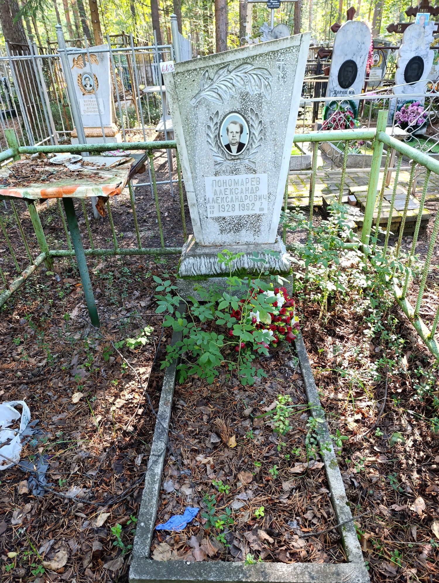 Пономарев Александр Александрович