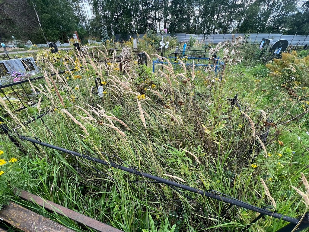 Верлокин Сергей Михайлович