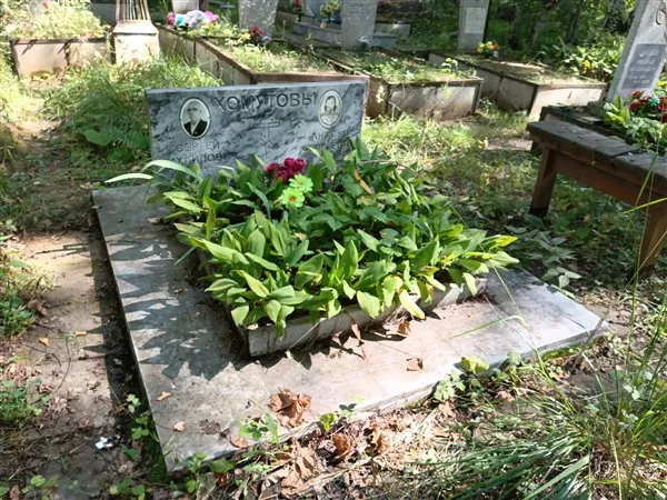 Хомутова Анисья
