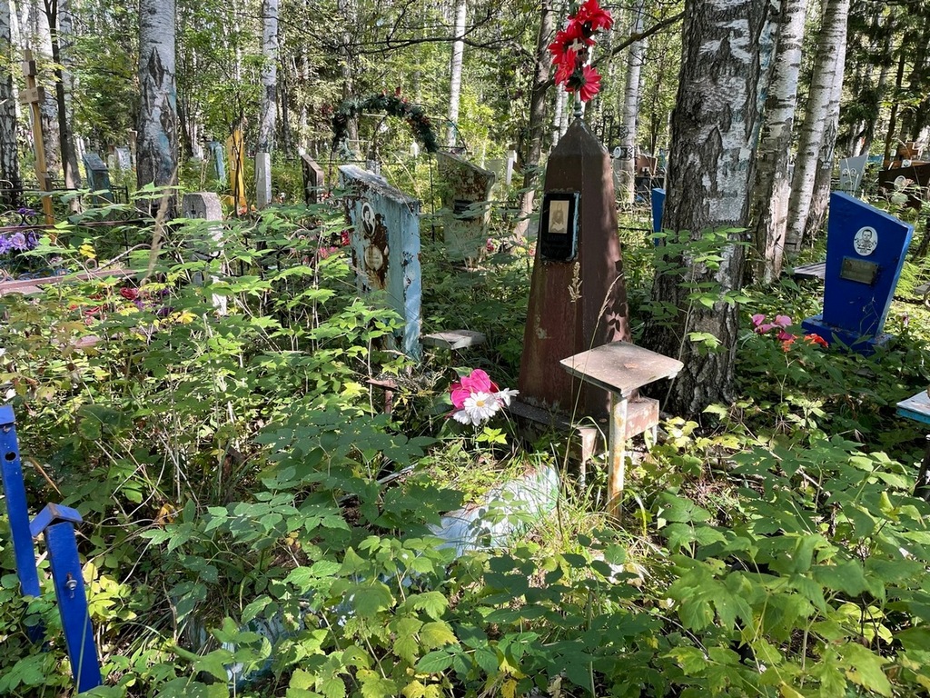 Комарова Елена Степановна