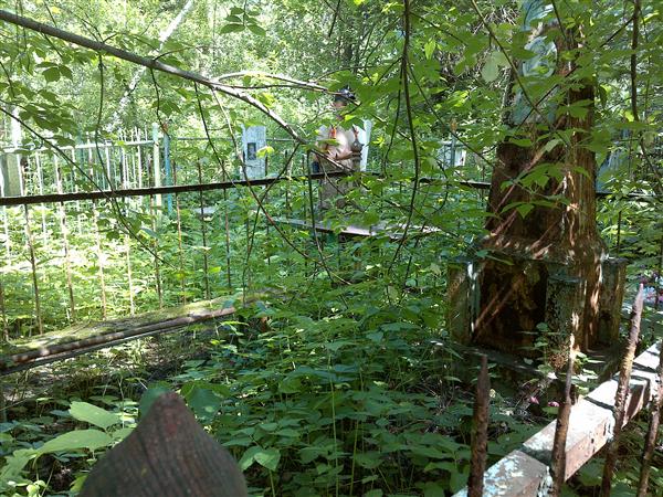 Чесноков Александр Васильевич