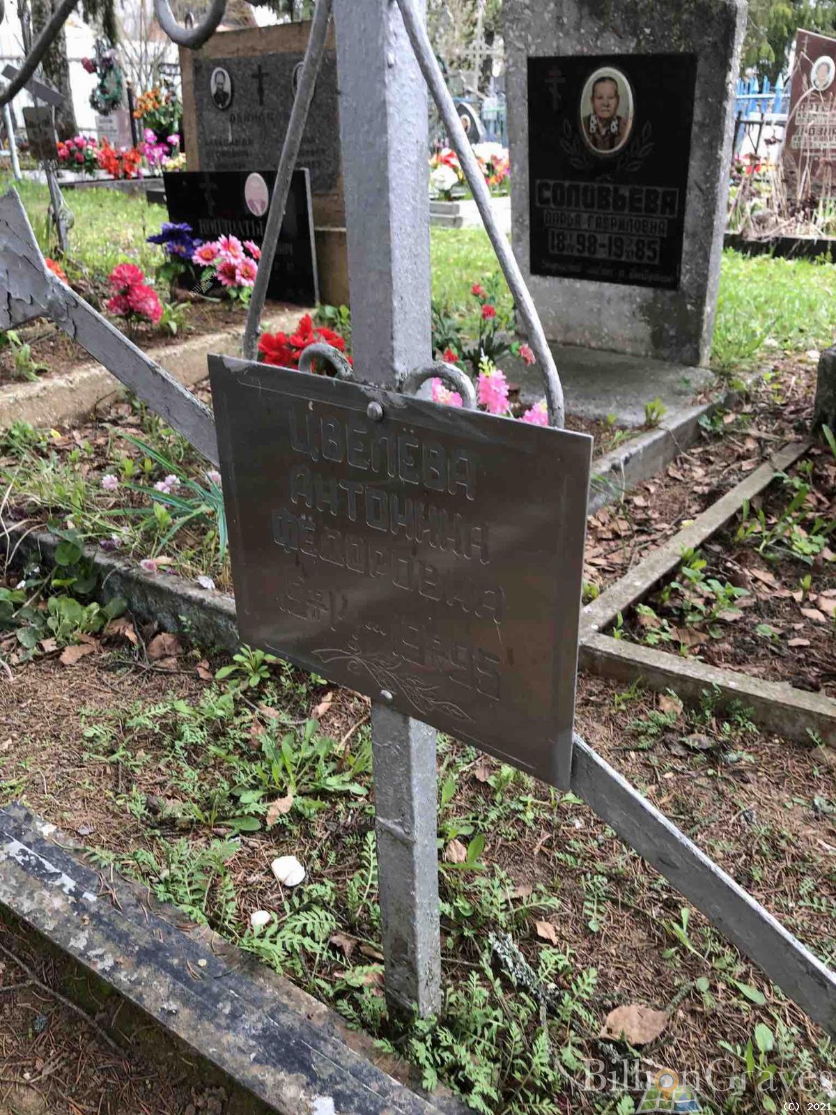 Цвелёва Антонина Фёдоровна