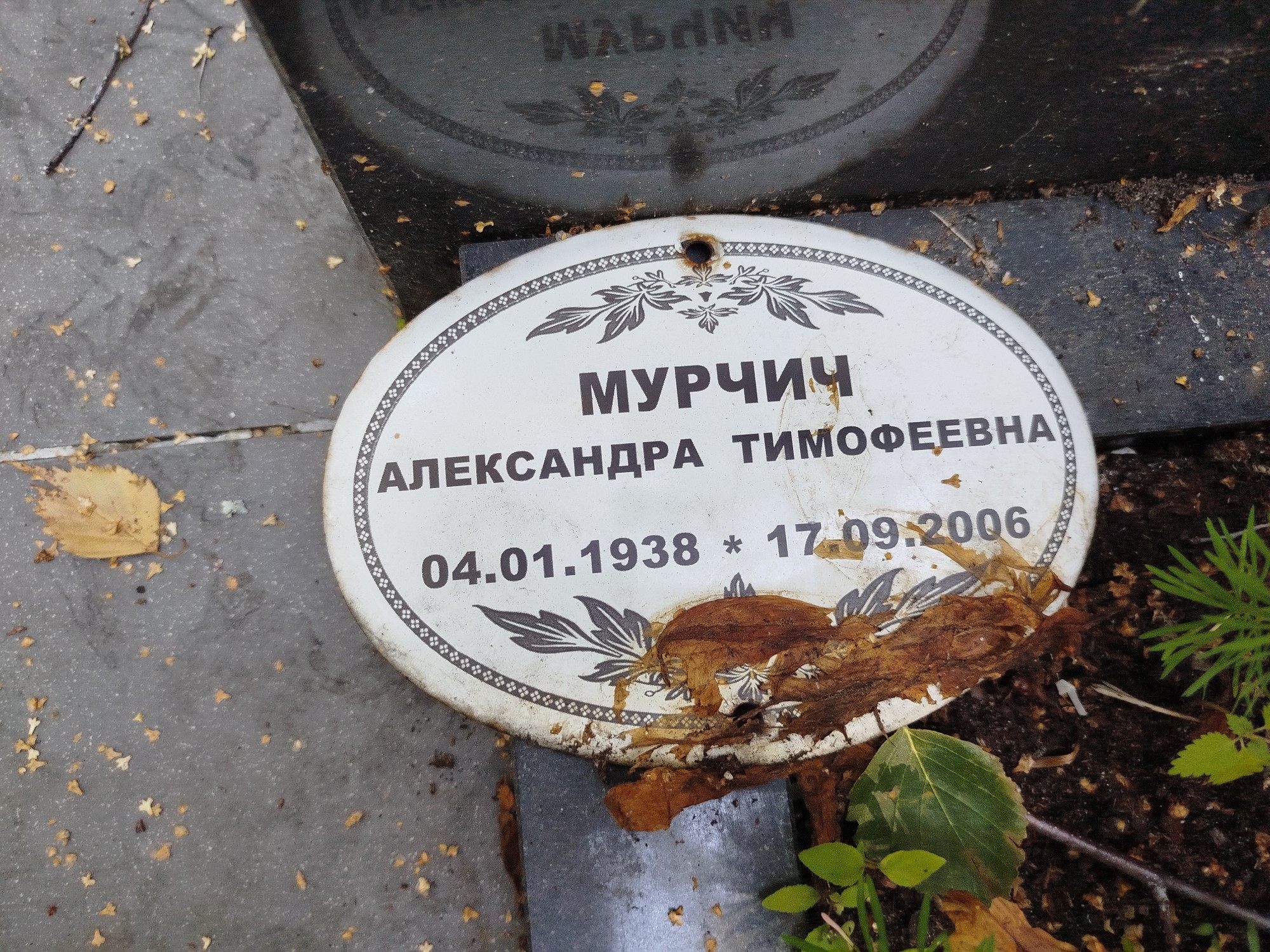 Мурчич Александра Тимофеевна