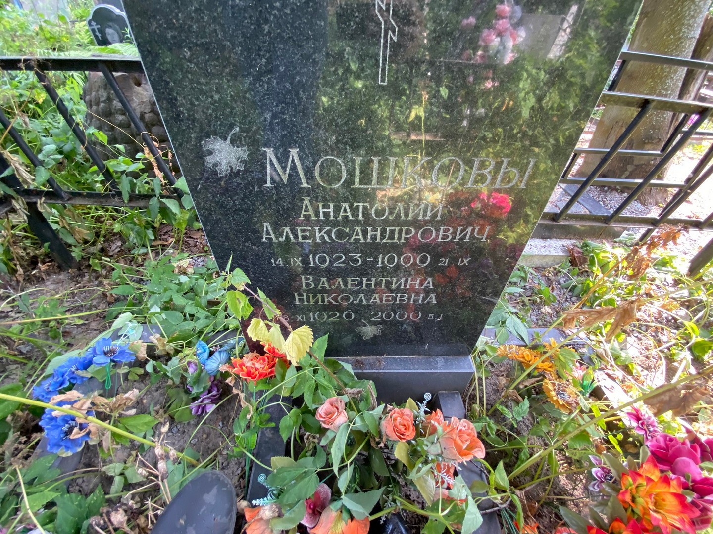 Мошков