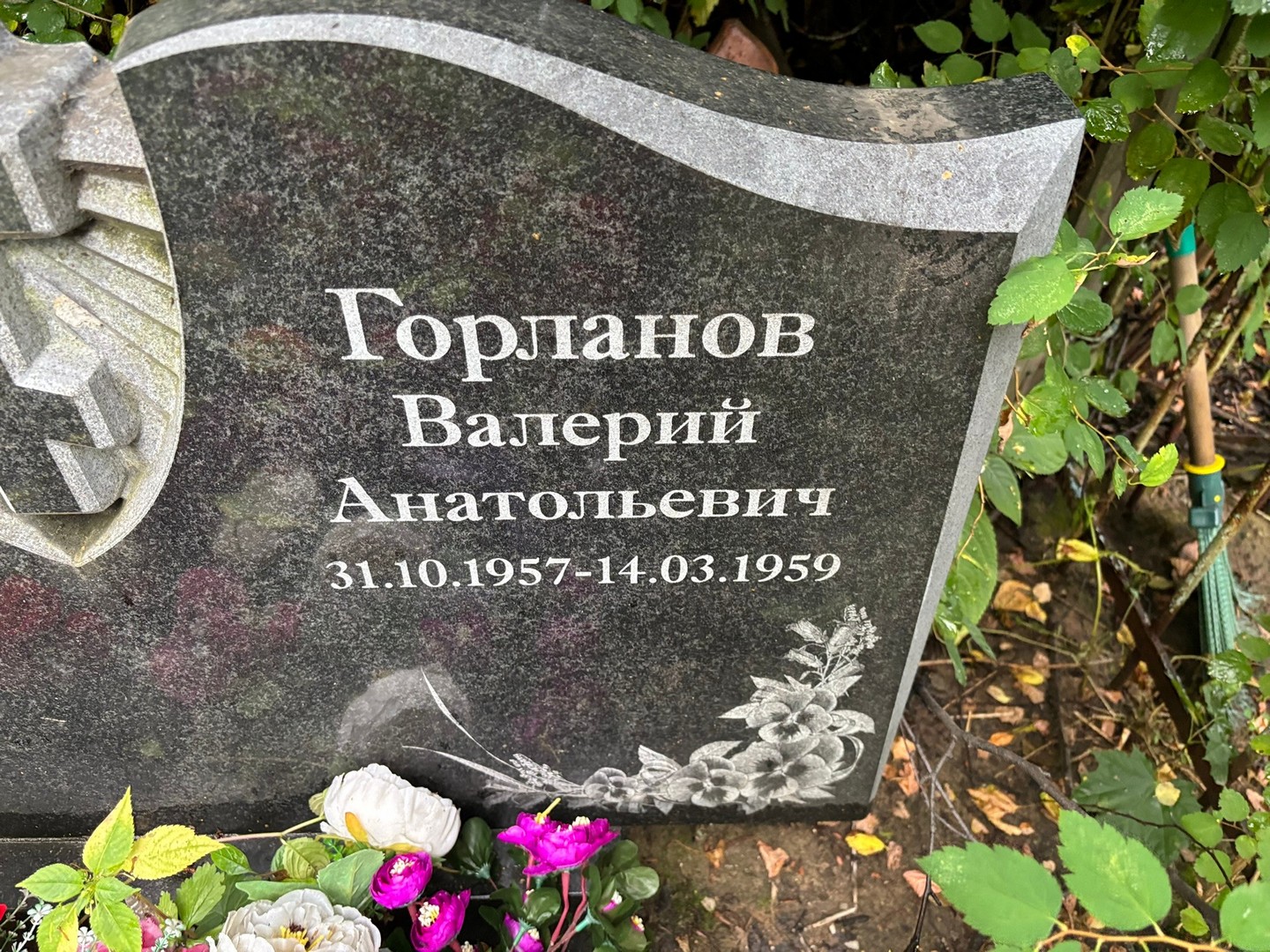 Горланов