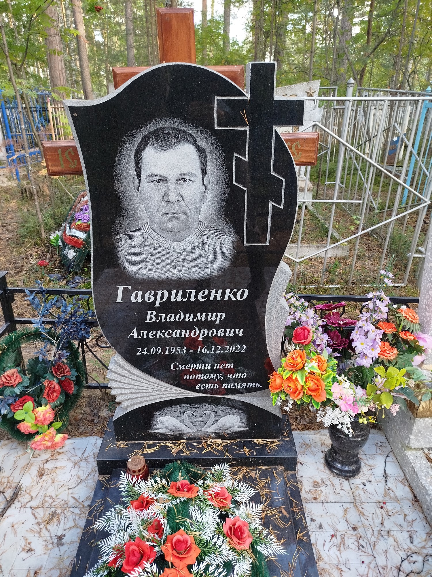 Гавриленко Владимир Александрович