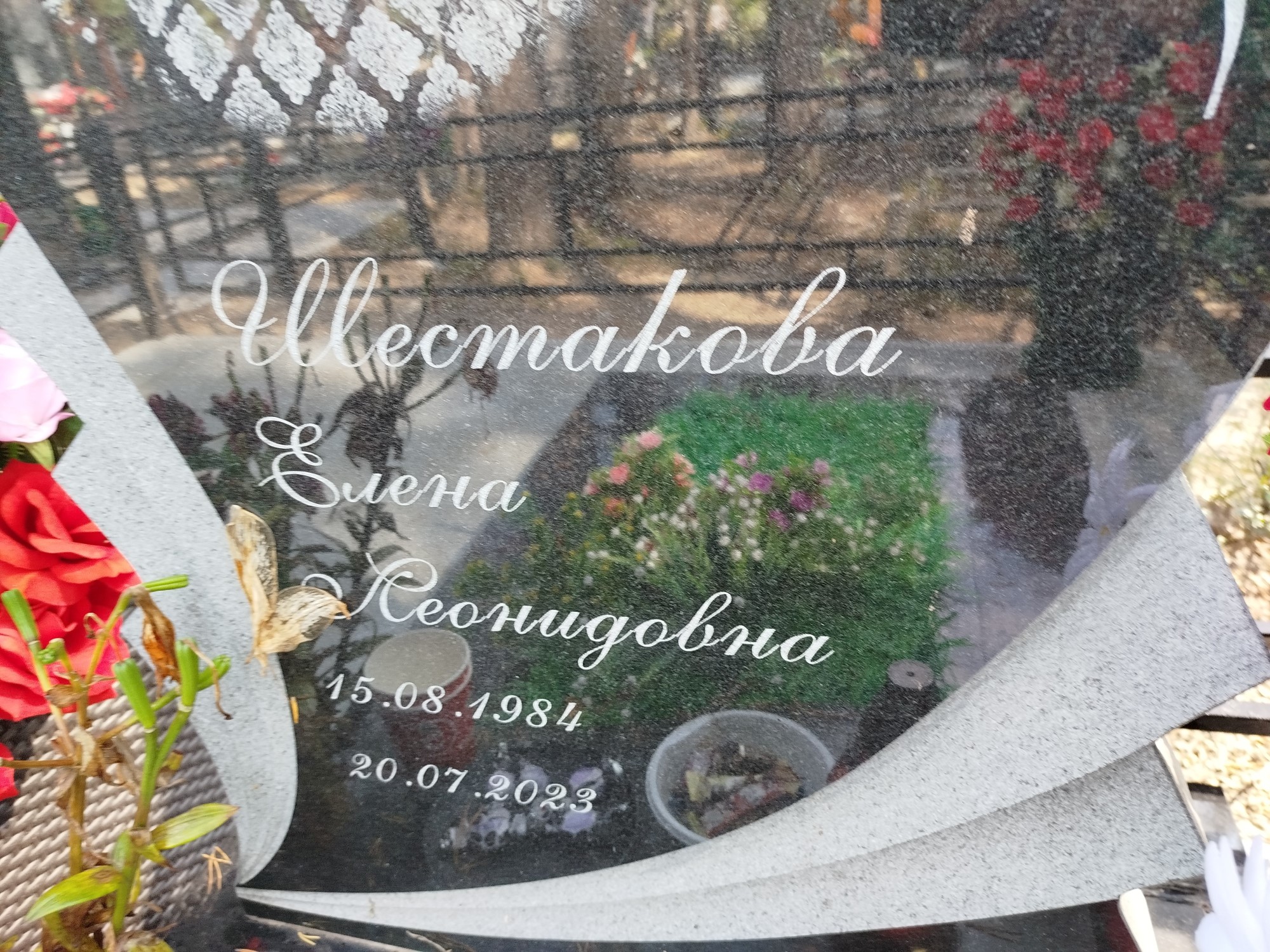 Шестакова Елена Леонидовна