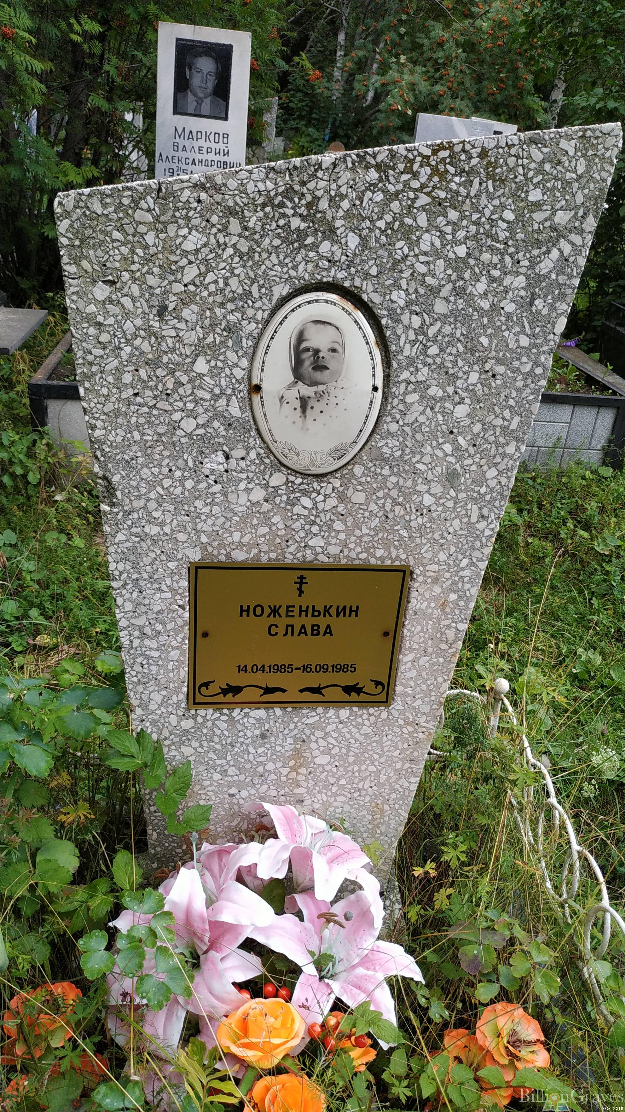 Ноженькин Вячеслав