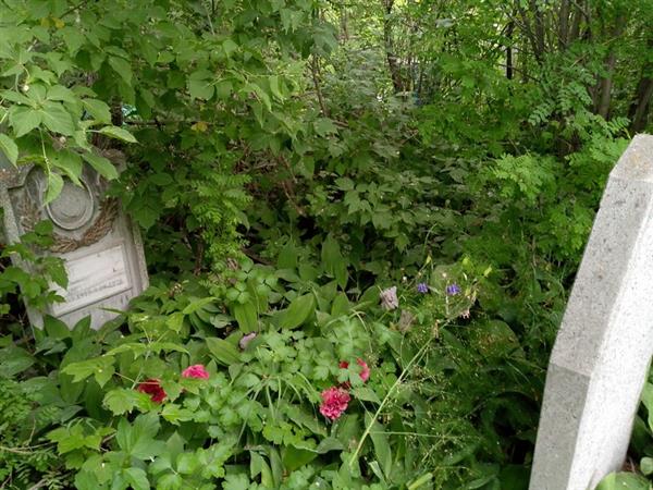 Воробьева Лидия Даниловна