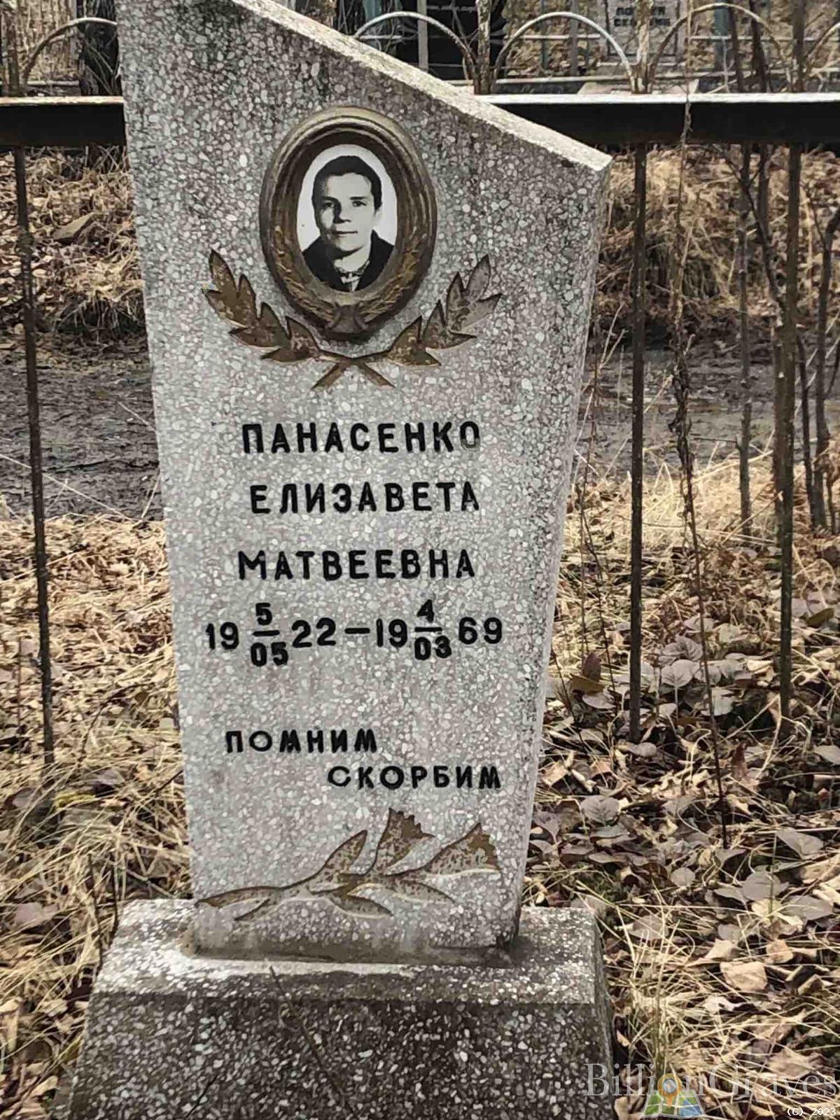 Панасенко Елизавета Матвеевна