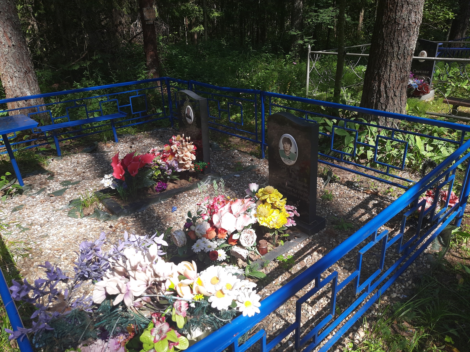 Лукичева Любовь Николаевна