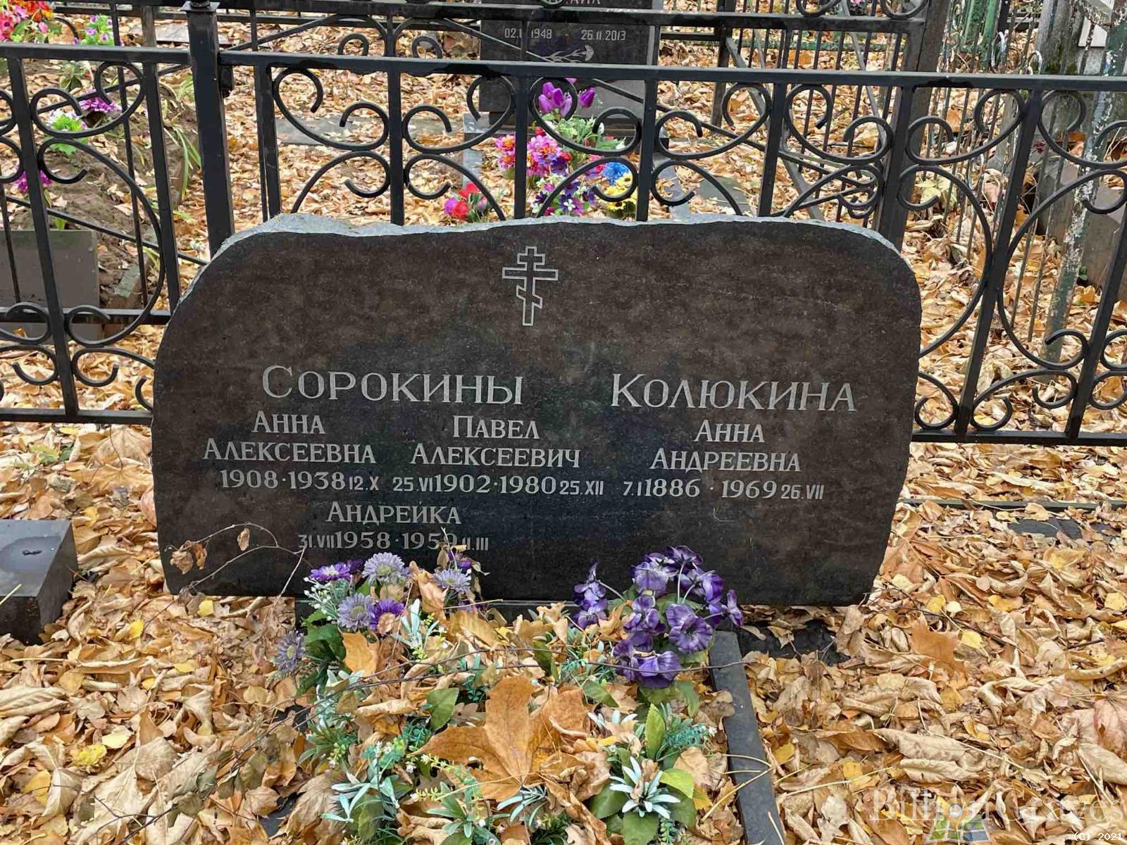 Колюкина Анна Андреевна