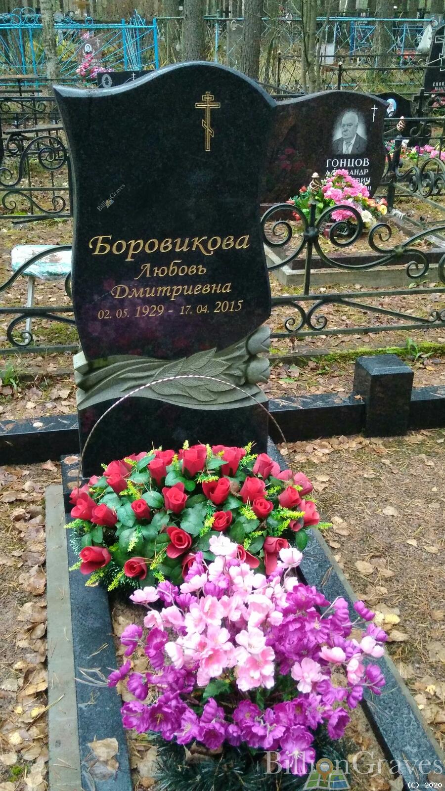Боровикова Любовь Дмитриевна