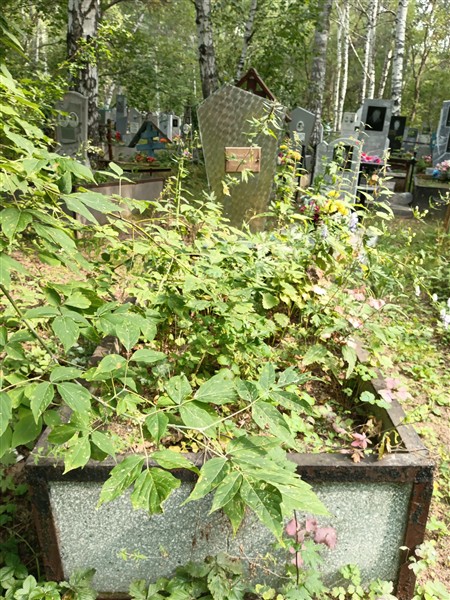 Кичигина Александра Порфирьевна