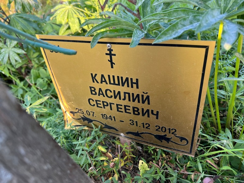 Кашин