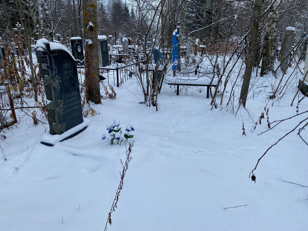 Голубец Андрей Федорович