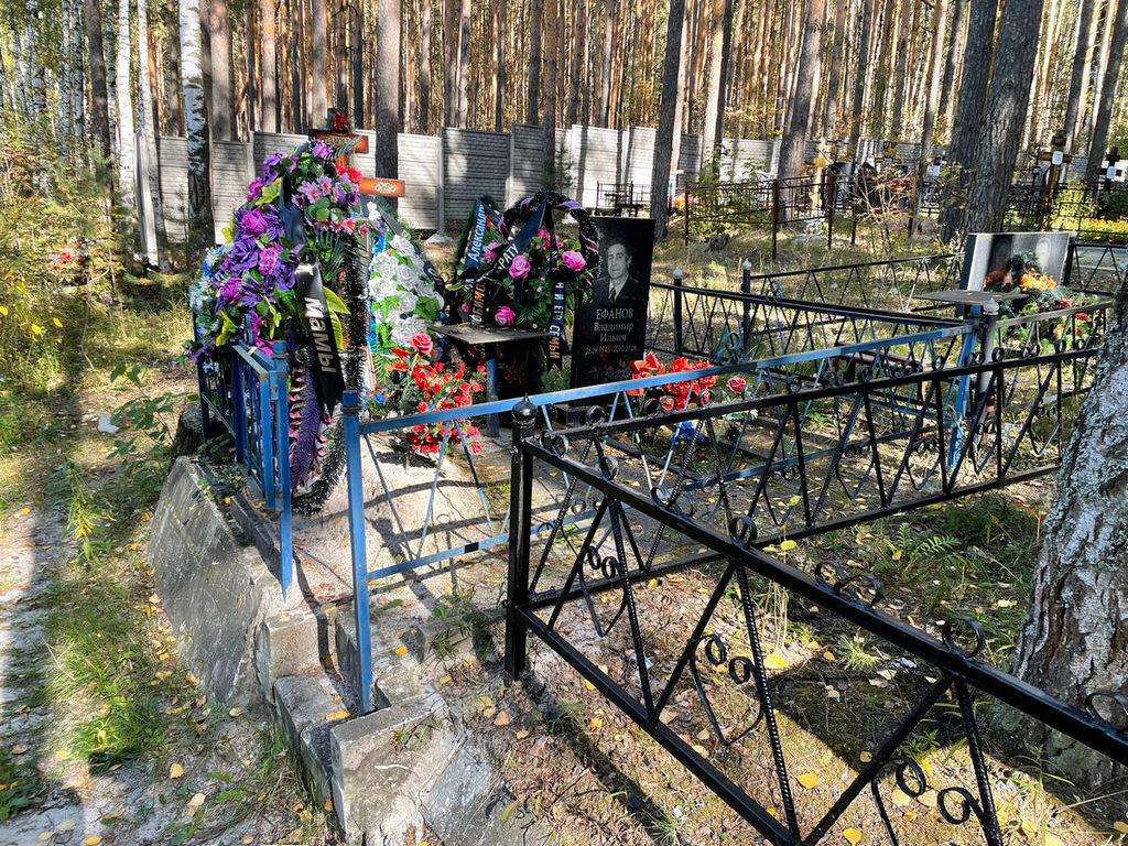 Ефанов Александр Владимирович
