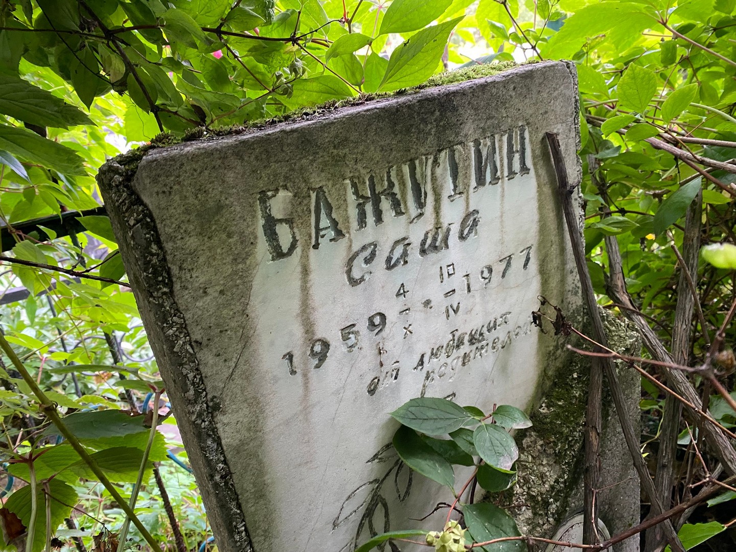 Бажутин Бажутин