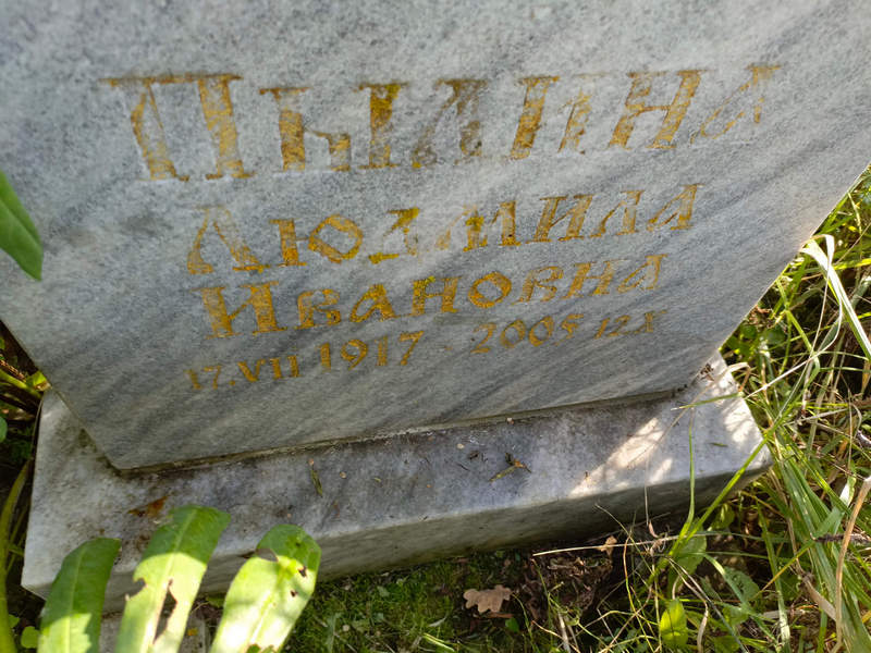 Пылина