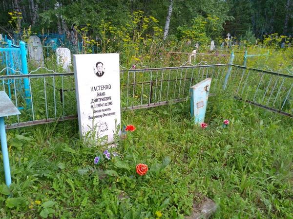 Настенко Анна Степановна