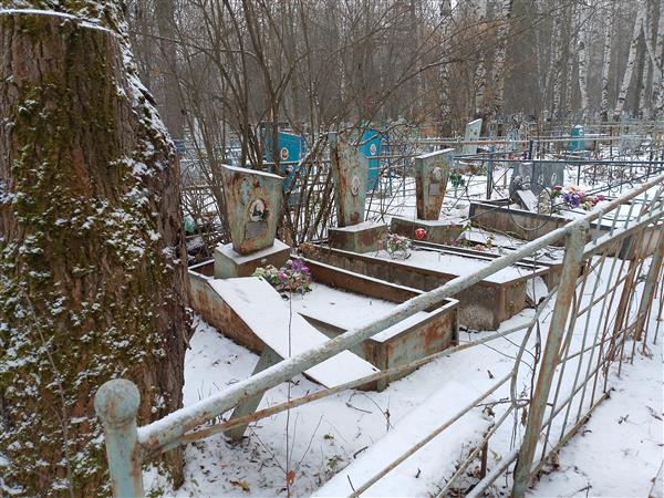 Бородулина Александра Михайловна