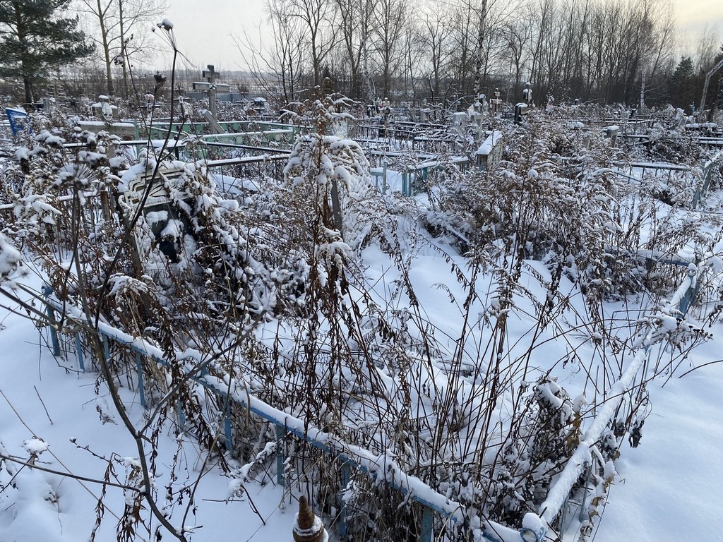 Соловьев Альберт Викторович