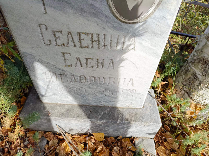 Селенина